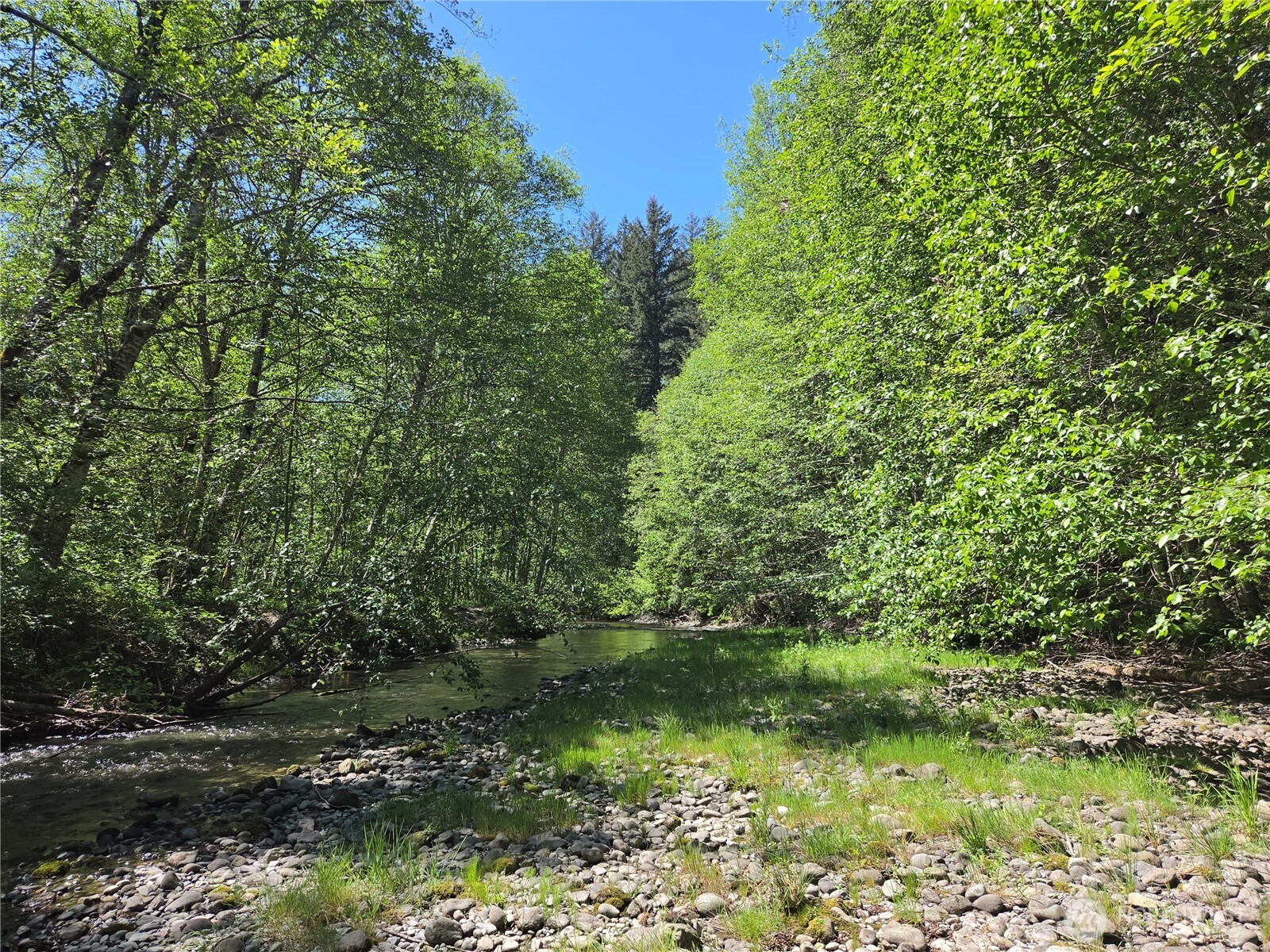 123 Campfire Lane Packwood WA 98361