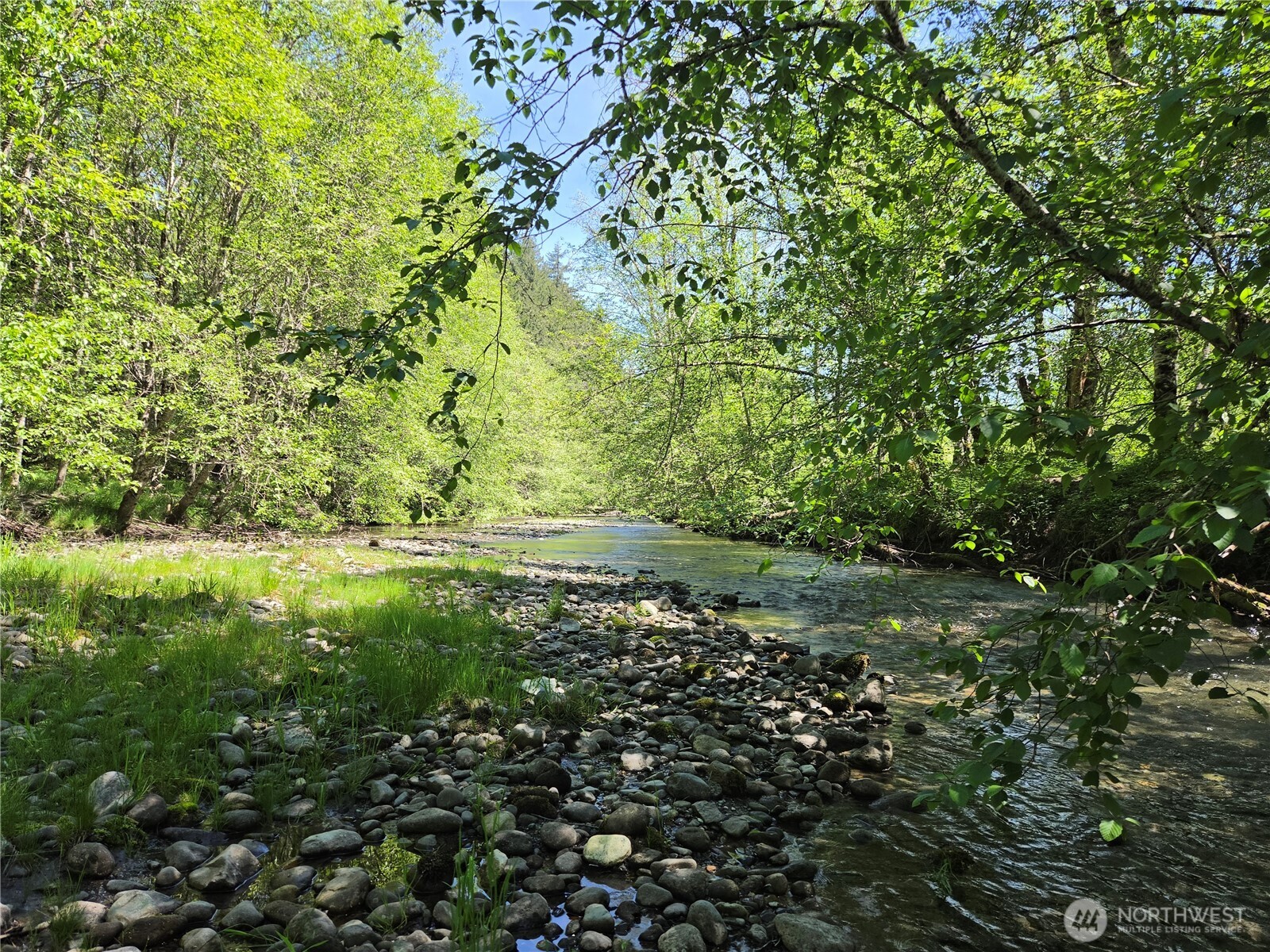 123 Campfire Lane Packwood WA 98361