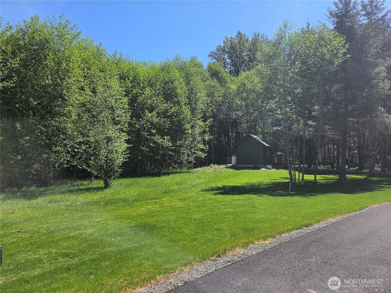 123 Campfire Lane Packwood WA 98361