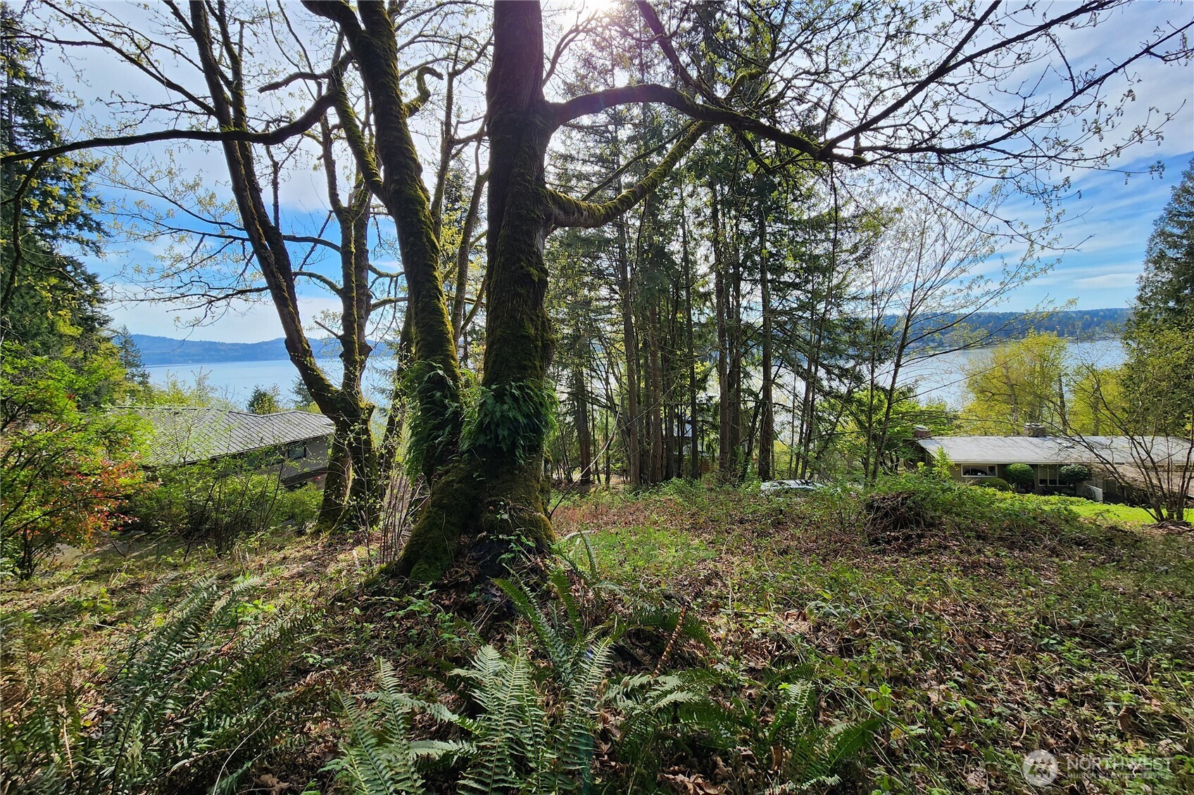 0 E Lake Sammamish Parkway NE Sammamish WA 98074