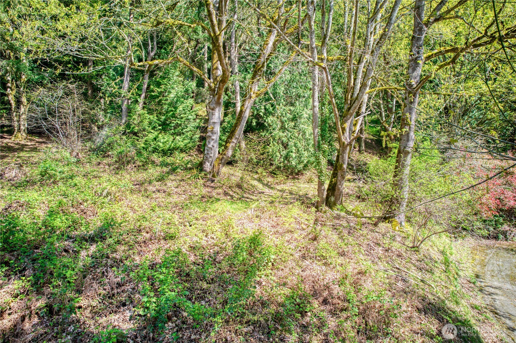 0 E Lake Sammamish Parkway NE Sammamish WA 98074