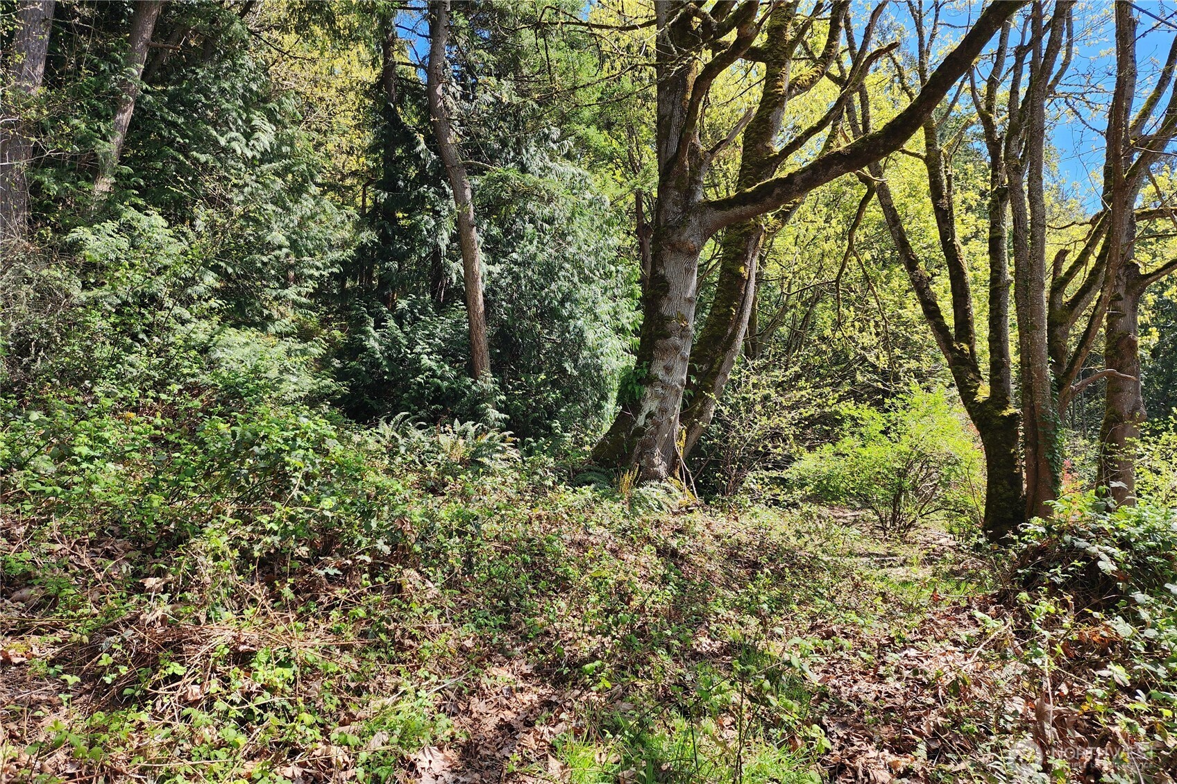 0 E Lake Sammamish Parkway NE Sammamish WA 98074