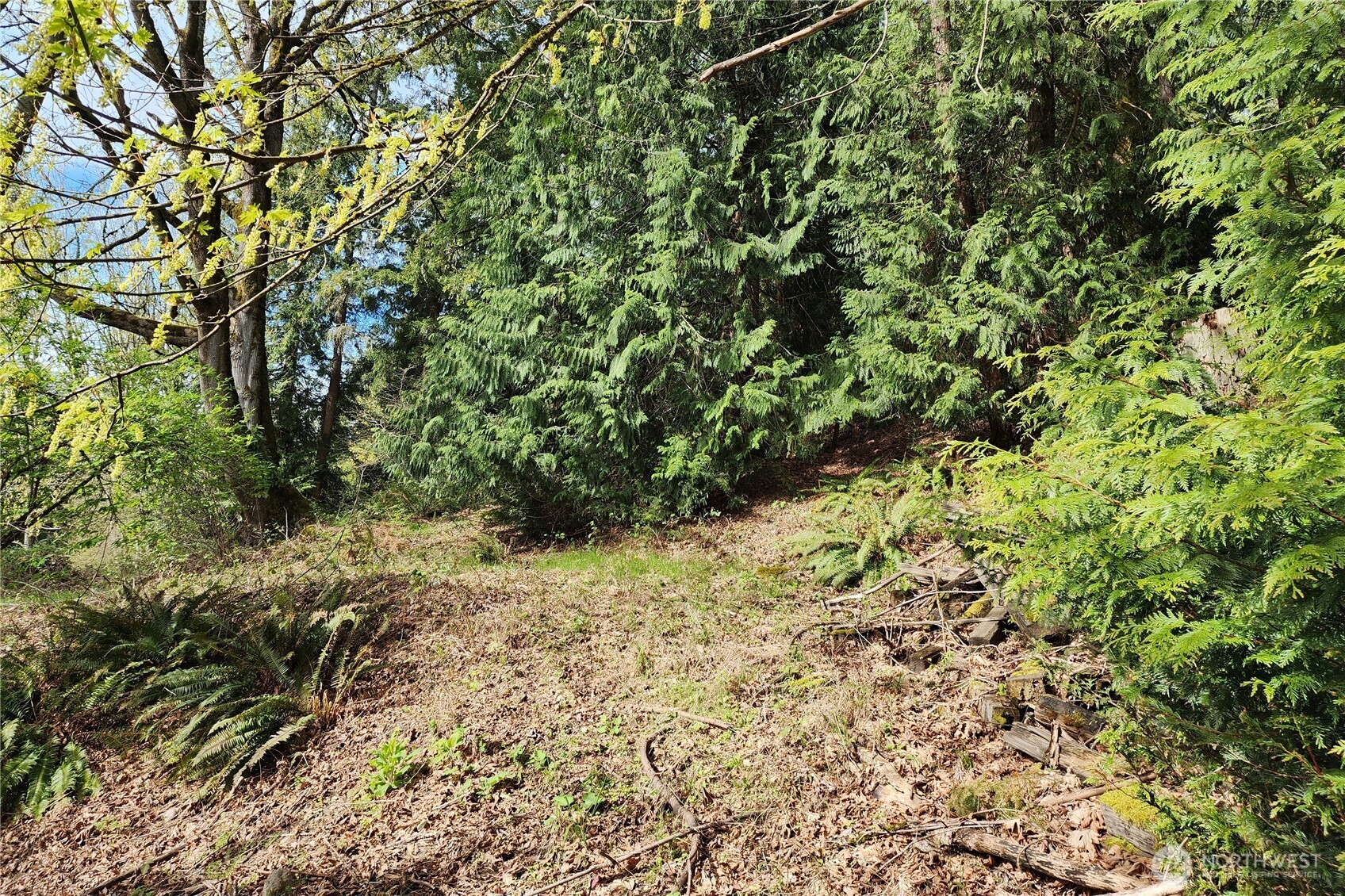 0 E Lake Sammamish Parkway NE Sammamish WA 98074