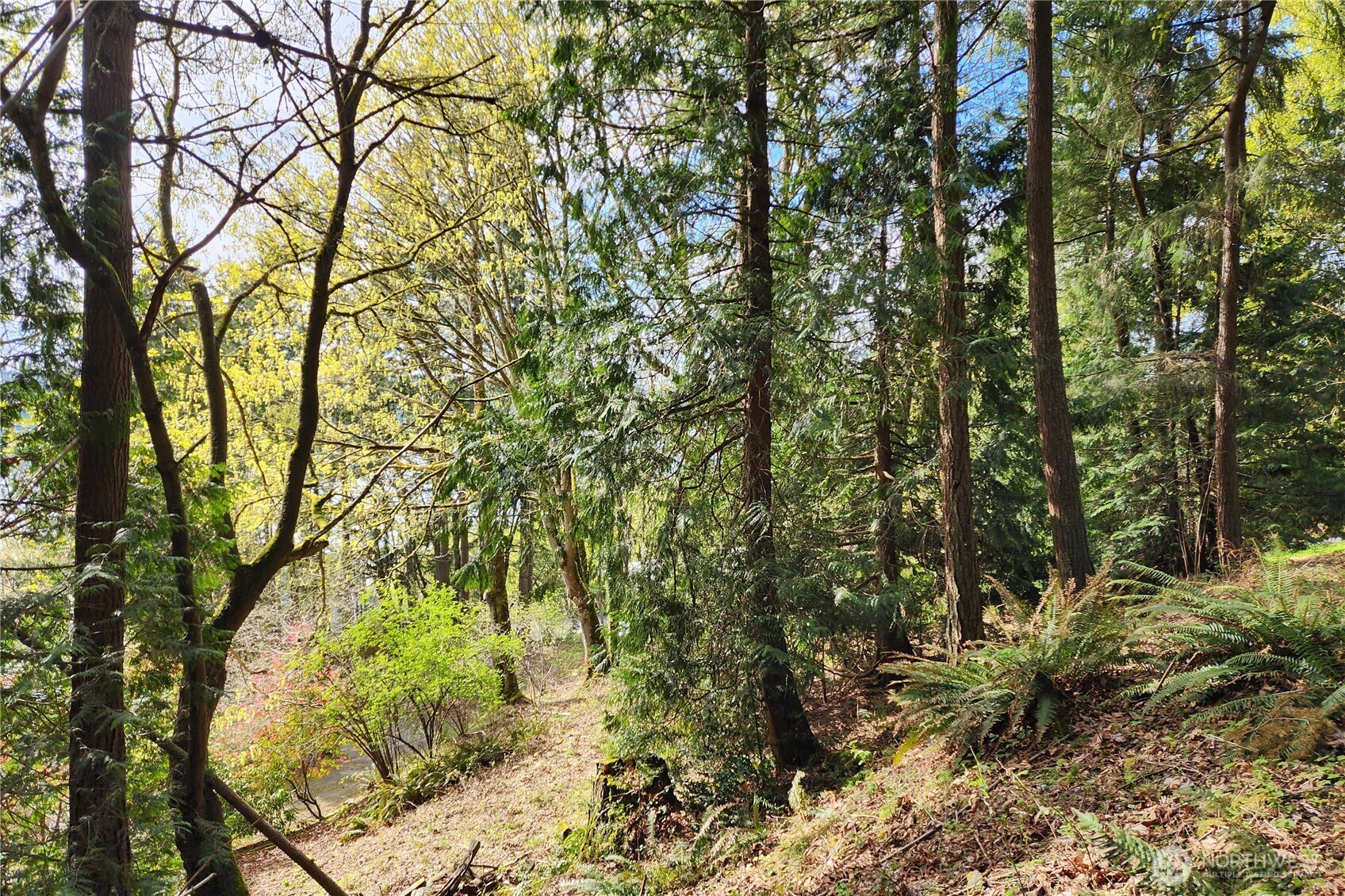 0 E Lake Sammamish Parkway NE Sammamish WA 98074
