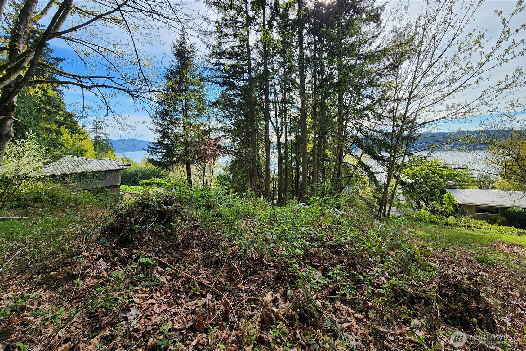 0 E Lake Sammamish Parkway NE Sammamish WA 98074