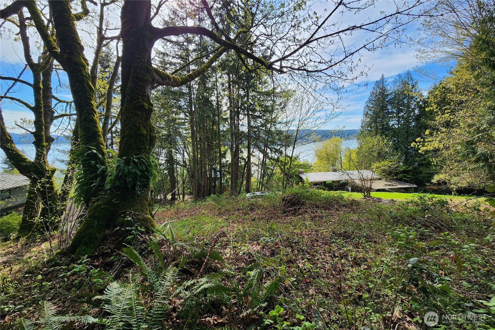 0 E Lake Sammamish Parkway NE Sammamish WA 98074