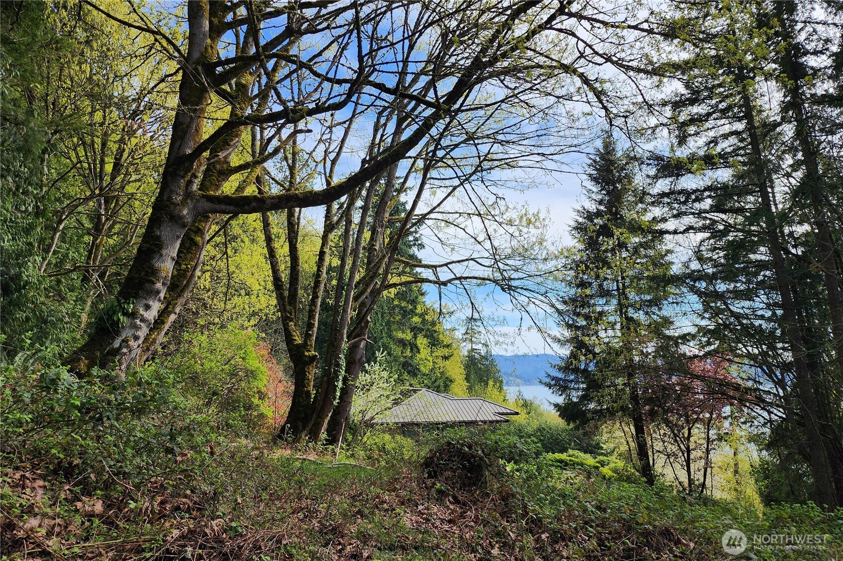 0 E Lake Sammamish Parkway NE Sammamish WA 98074