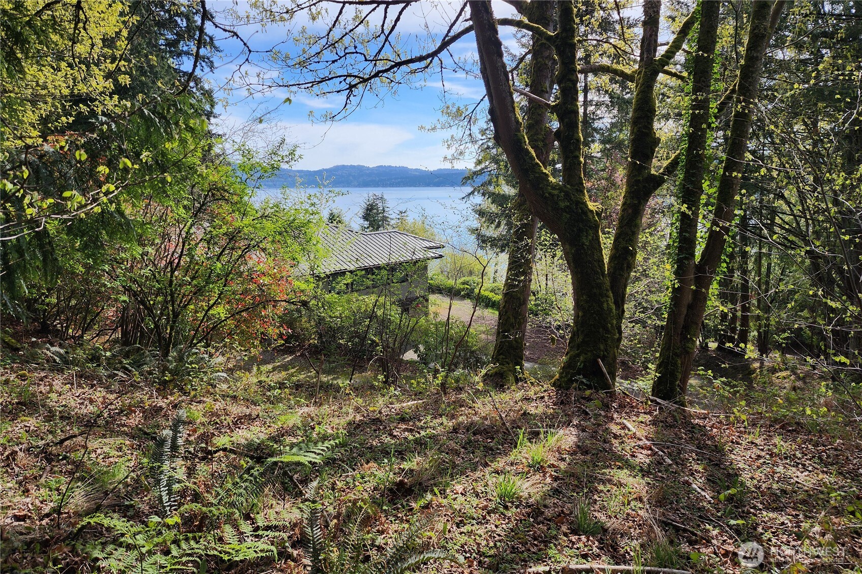 0 E Lake Sammamish Parkway NE Sammamish WA 98074