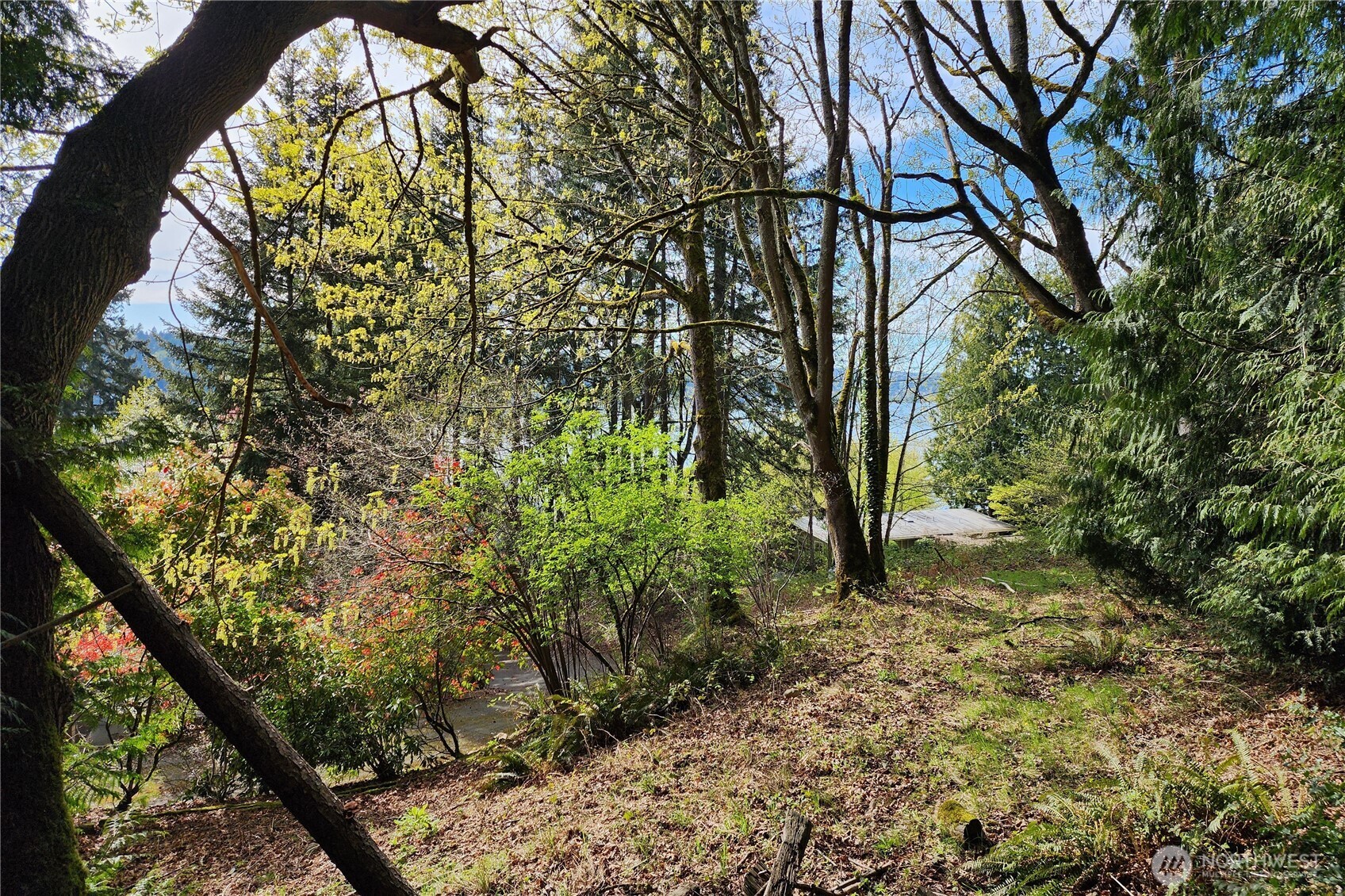 0 E Lake Sammamish Parkway NE Sammamish WA 98074
