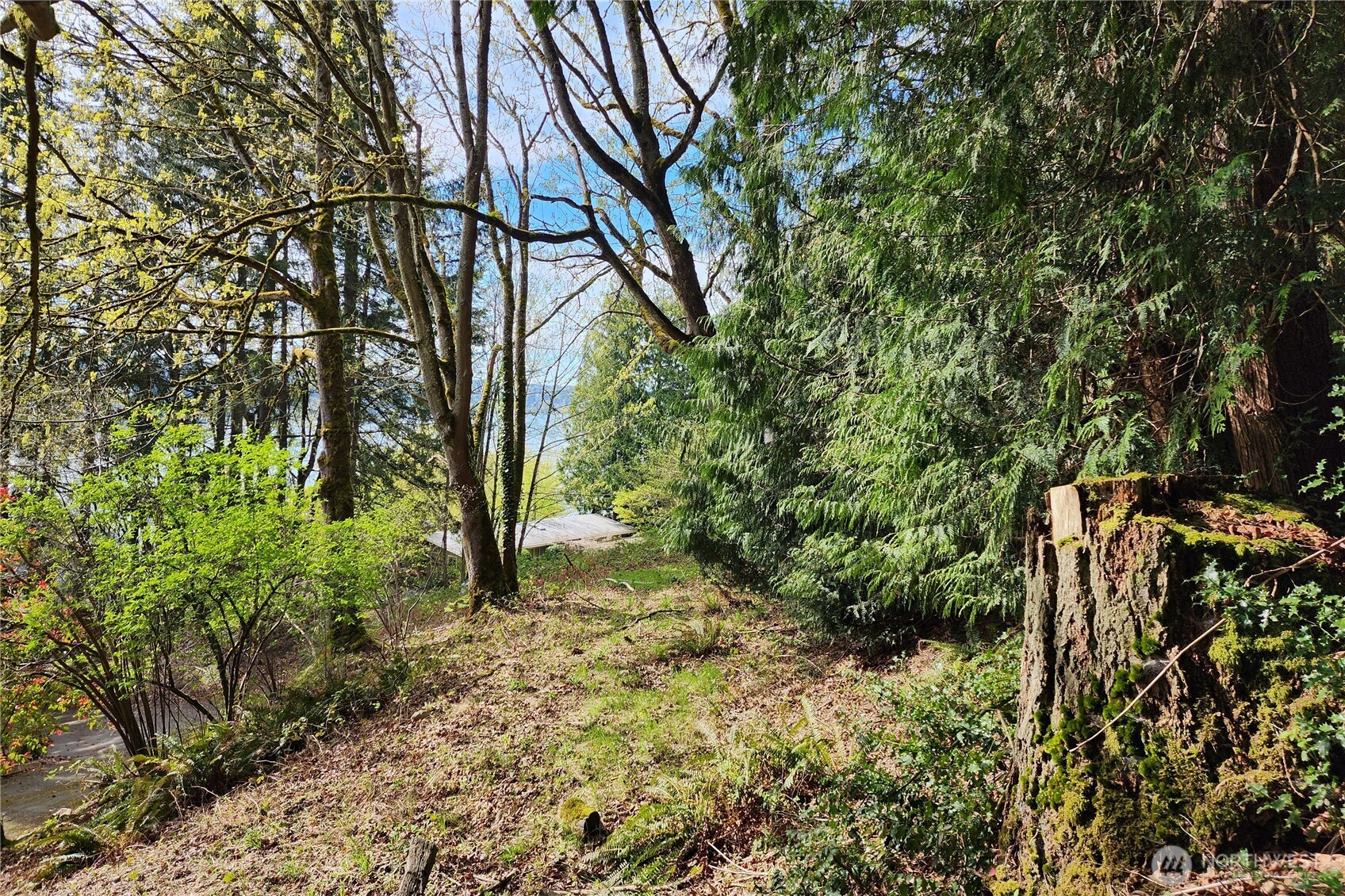 0 E Lake Sammamish Parkway NE Sammamish WA 98074