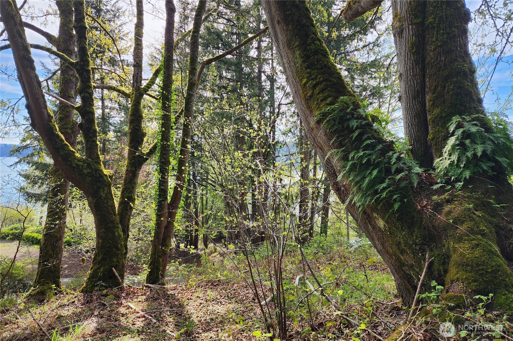 0 E Lake Sammamish Parkway NE Sammamish WA 98074