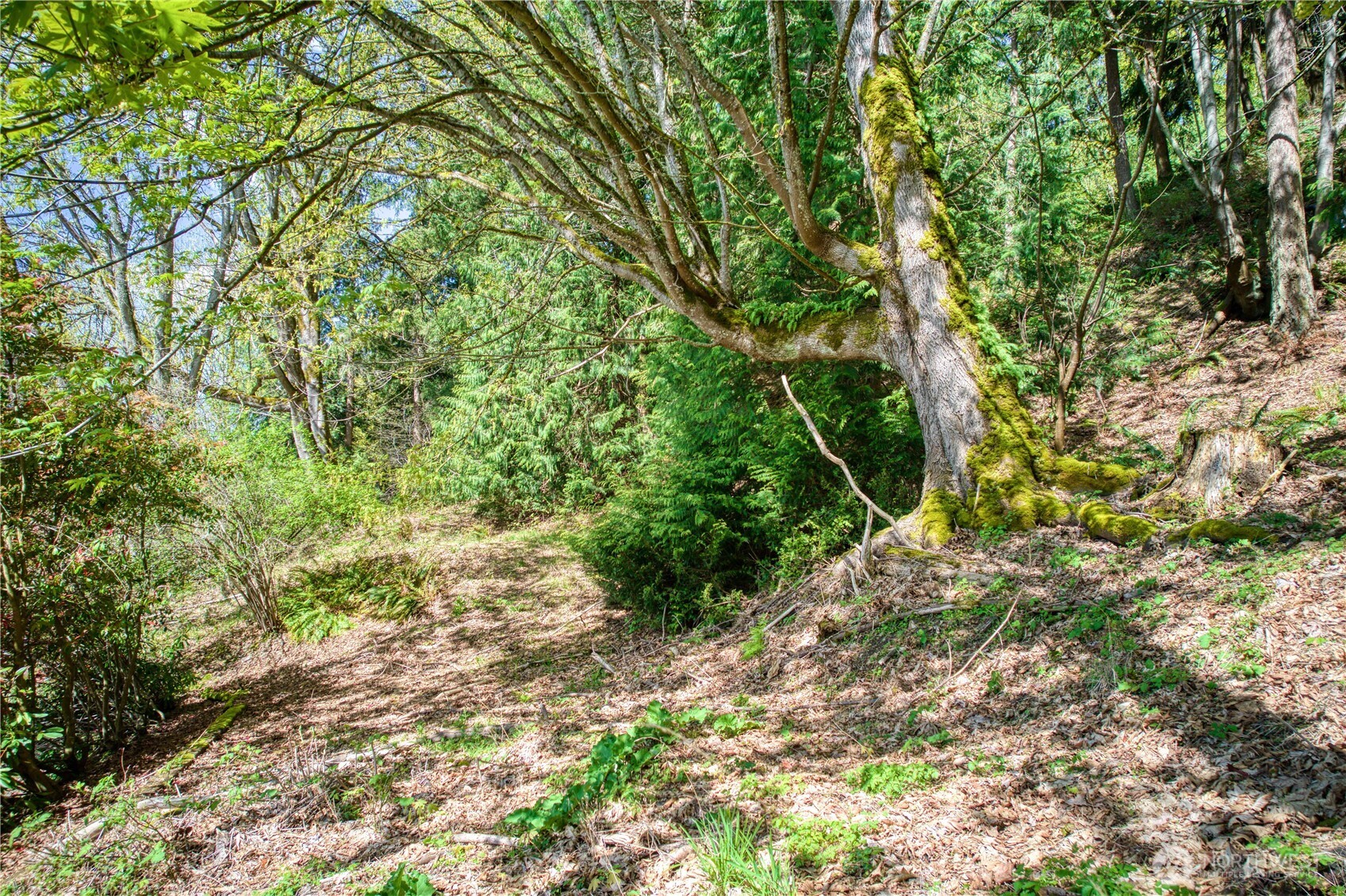 0 E Lake Sammamish Parkway NE Sammamish WA 98074