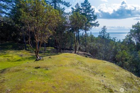 7 Spinnaker Lane Friday Harbor WA 98250
