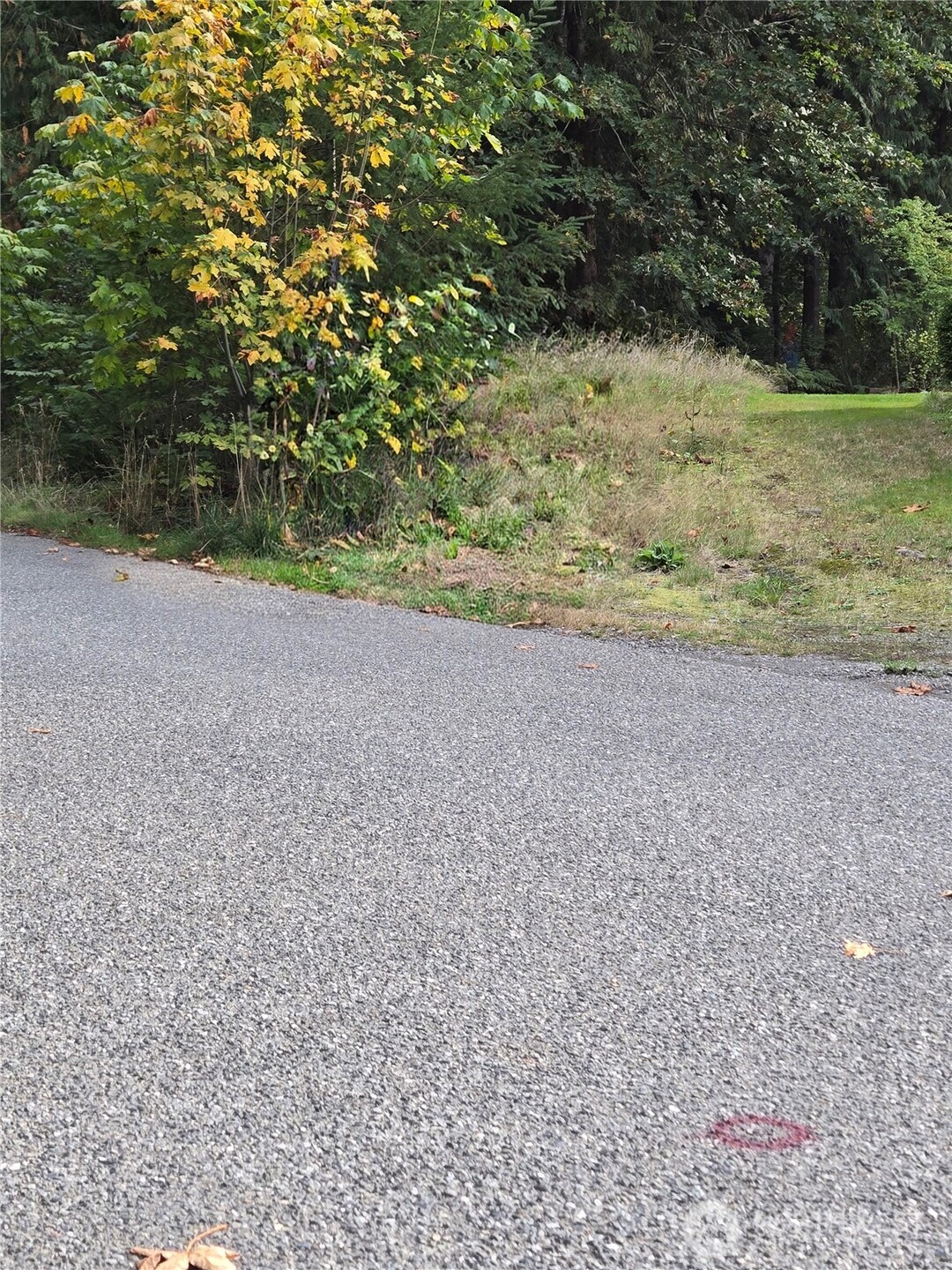 0 SE 159th Street North Bend WA 98045