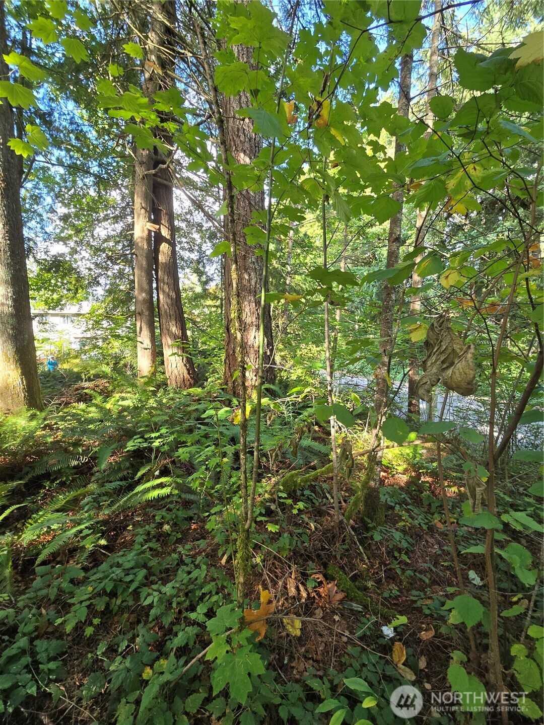 0 SE 159th Street North Bend WA 98045
