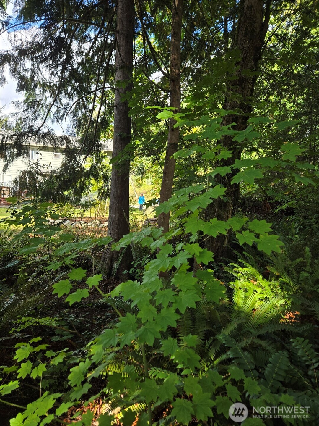 0 SE 159th Street North Bend WA 98045