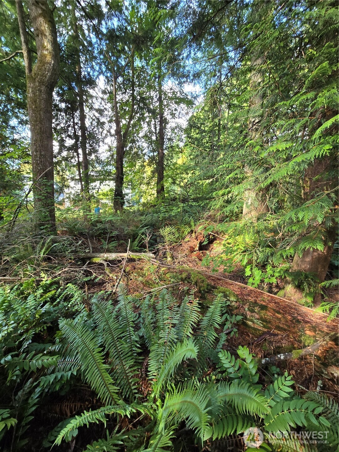 0 SE 159th Street North Bend WA 98045