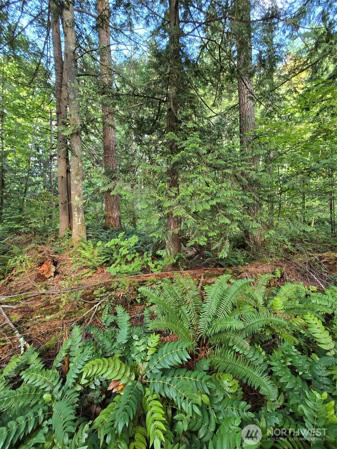 0 SE 159th Street North Bend WA 98045
