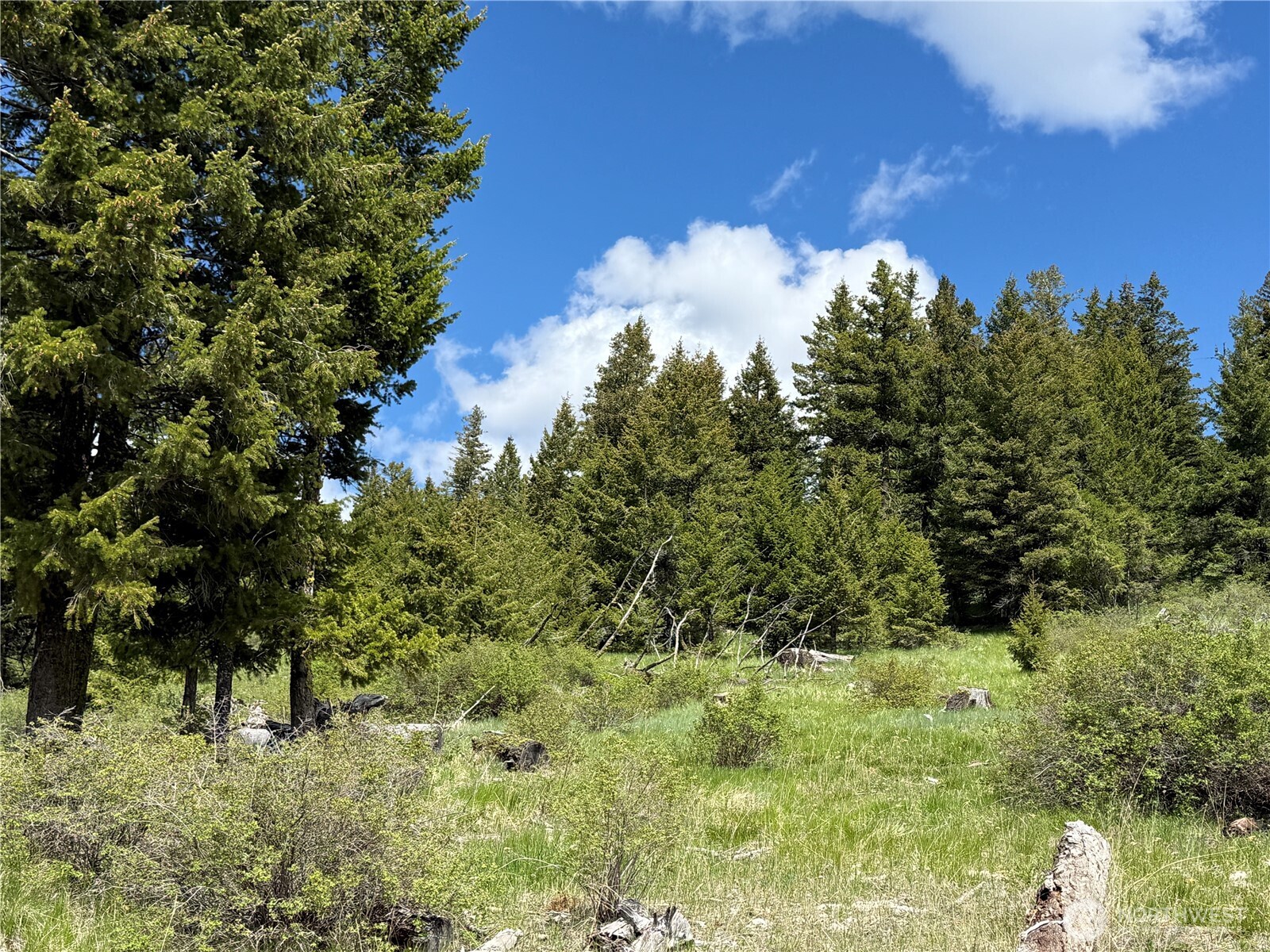 0 Toroda Creek Road Wauconda WA 98859