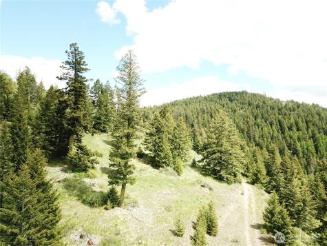0 Toroda Creek Road Wauconda WA 98859