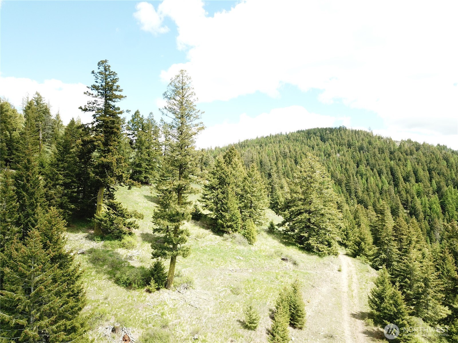0 Toroda Creek Road Wauconda WA 98859