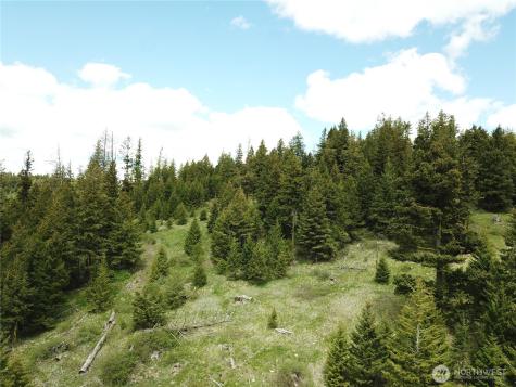 0 Toroda Creek Road Wauconda WA 98859