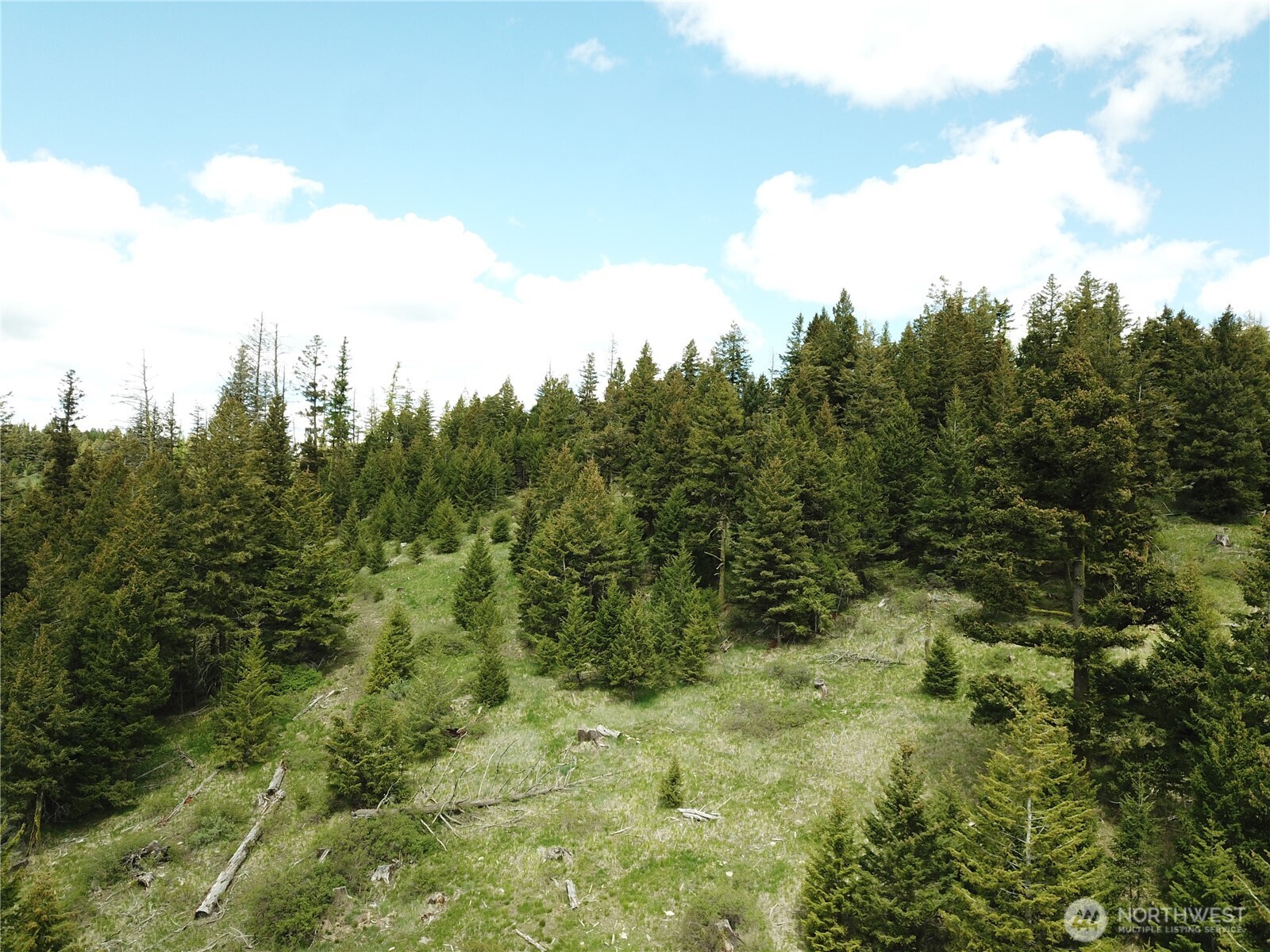 0 Toroda Creek Road Wauconda WA 98859
