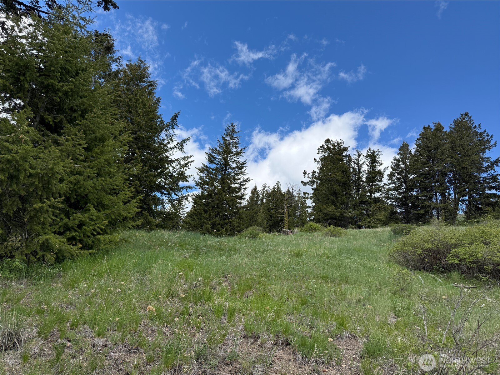 0 Toroda Creek Road Wauconda WA 98859