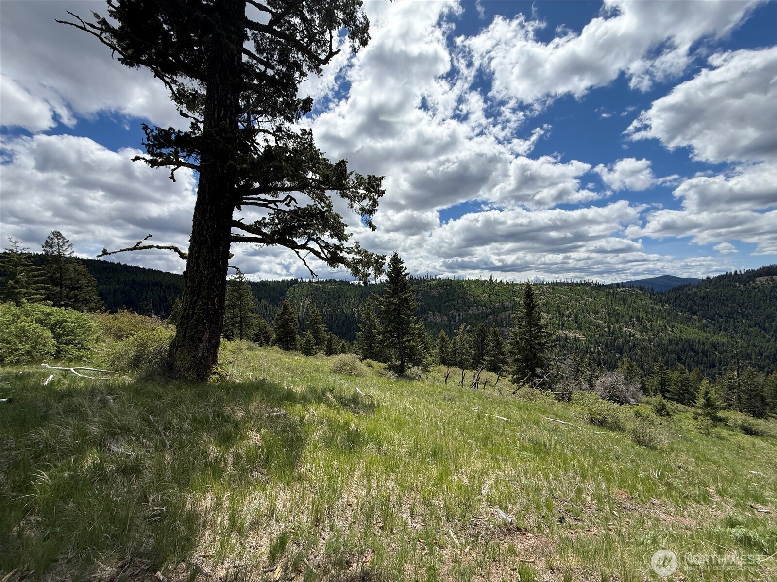 0 Toroda Creek Road Wauconda WA 98859