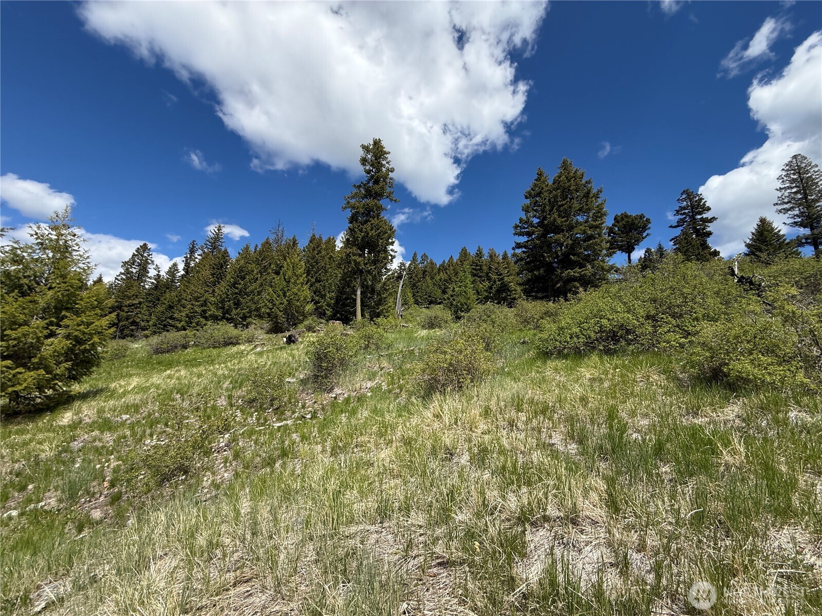 0 Toroda Creek Road Wauconda WA 98859