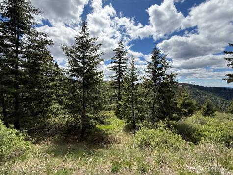 0 Toroda Creek Road Wauconda WA 98859