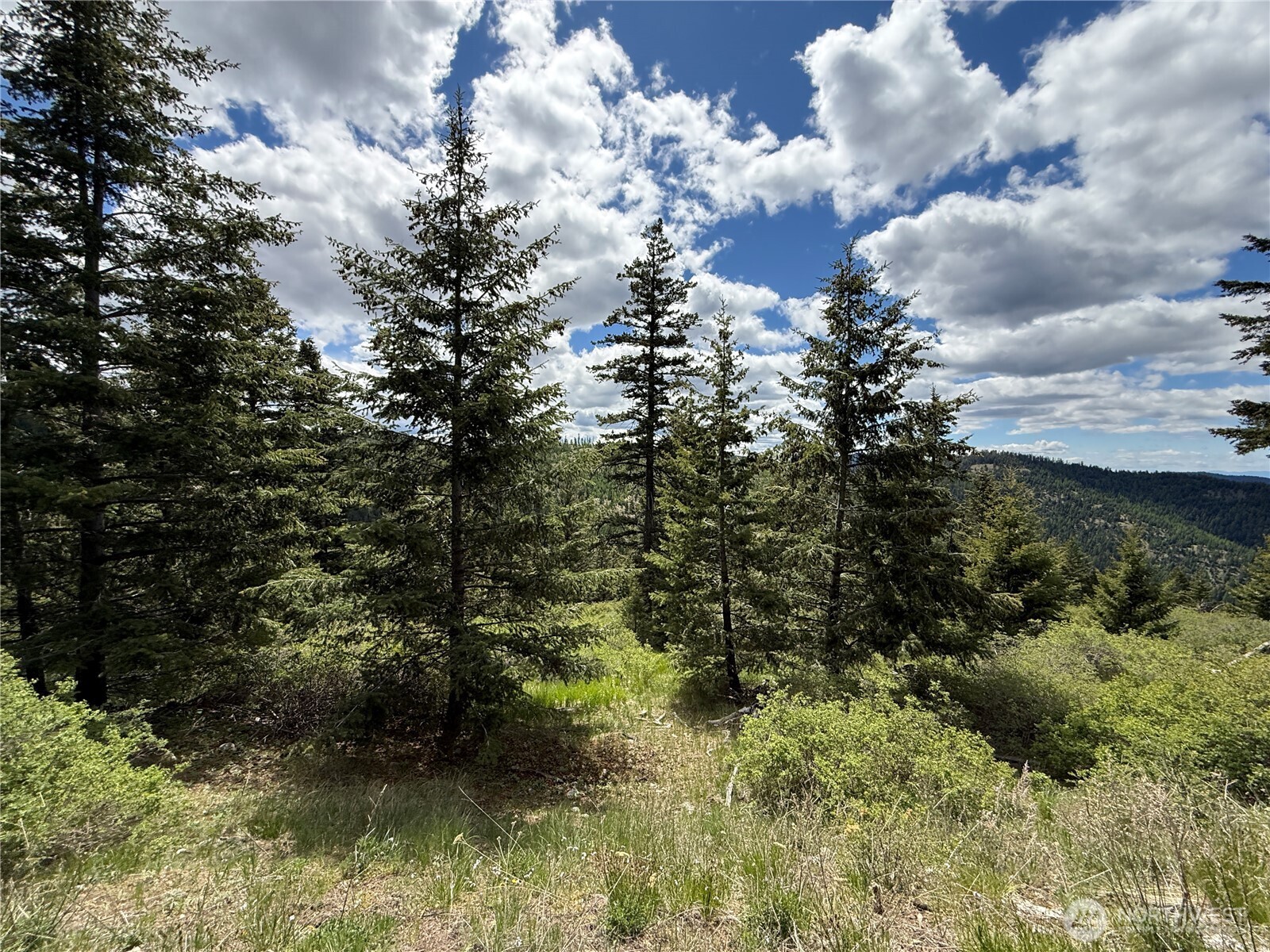 0 Toroda Creek Road Wauconda WA 98859