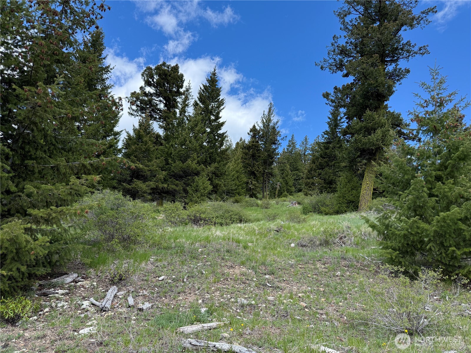 0 Toroda Creek Road Wauconda WA 98859