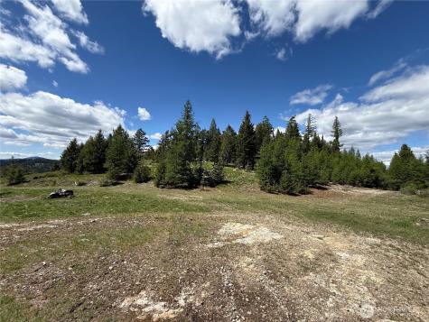 0 Toroda Creek Road Wauconda WA 98859
