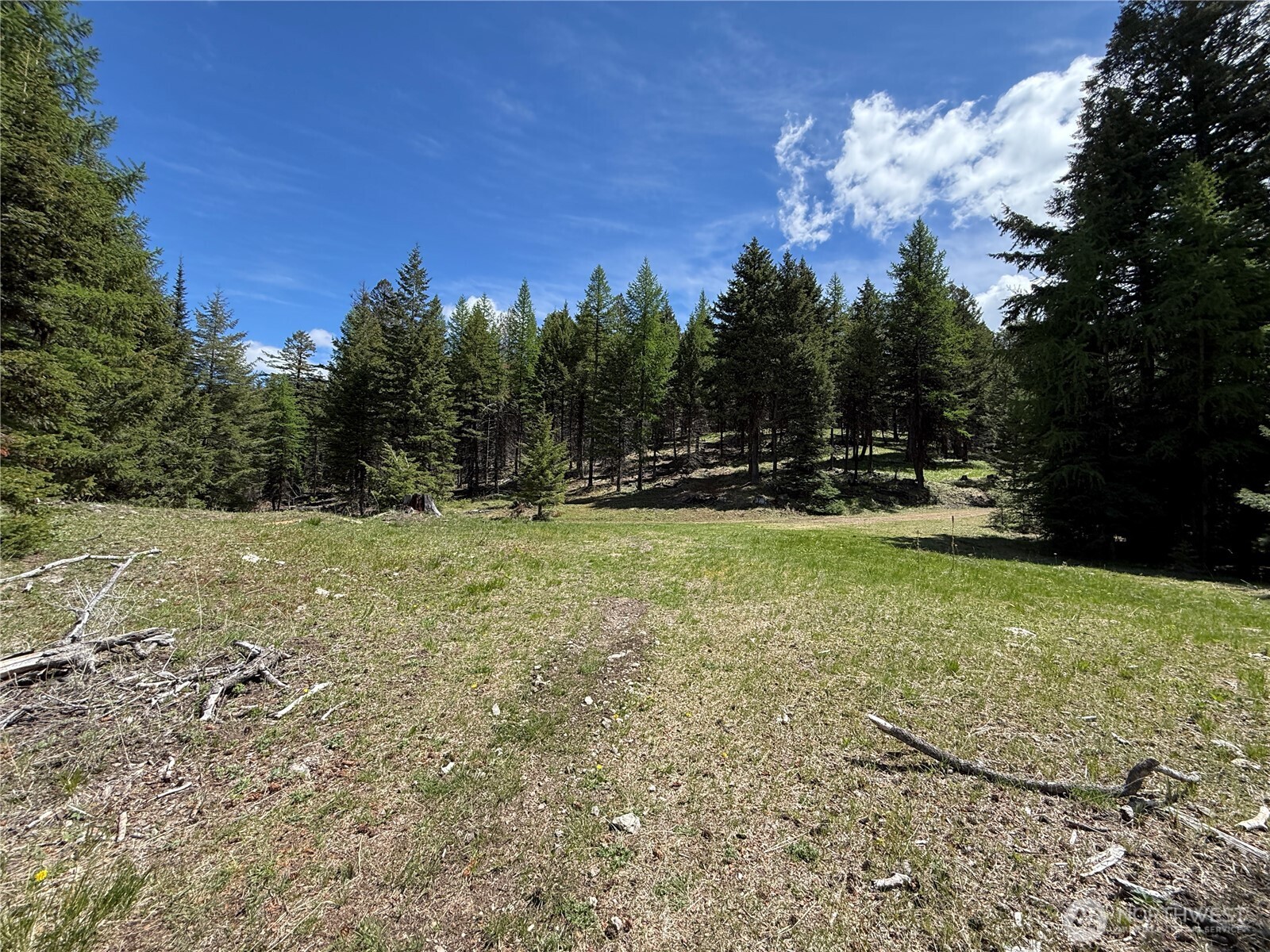 0 Toroda Creek Road Wauconda WA 98859