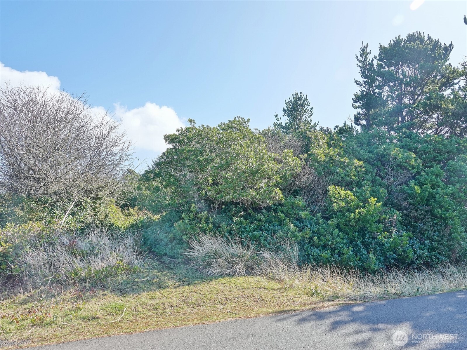 470 Sand Dune Avenue SW Ocean Shores WA 98569