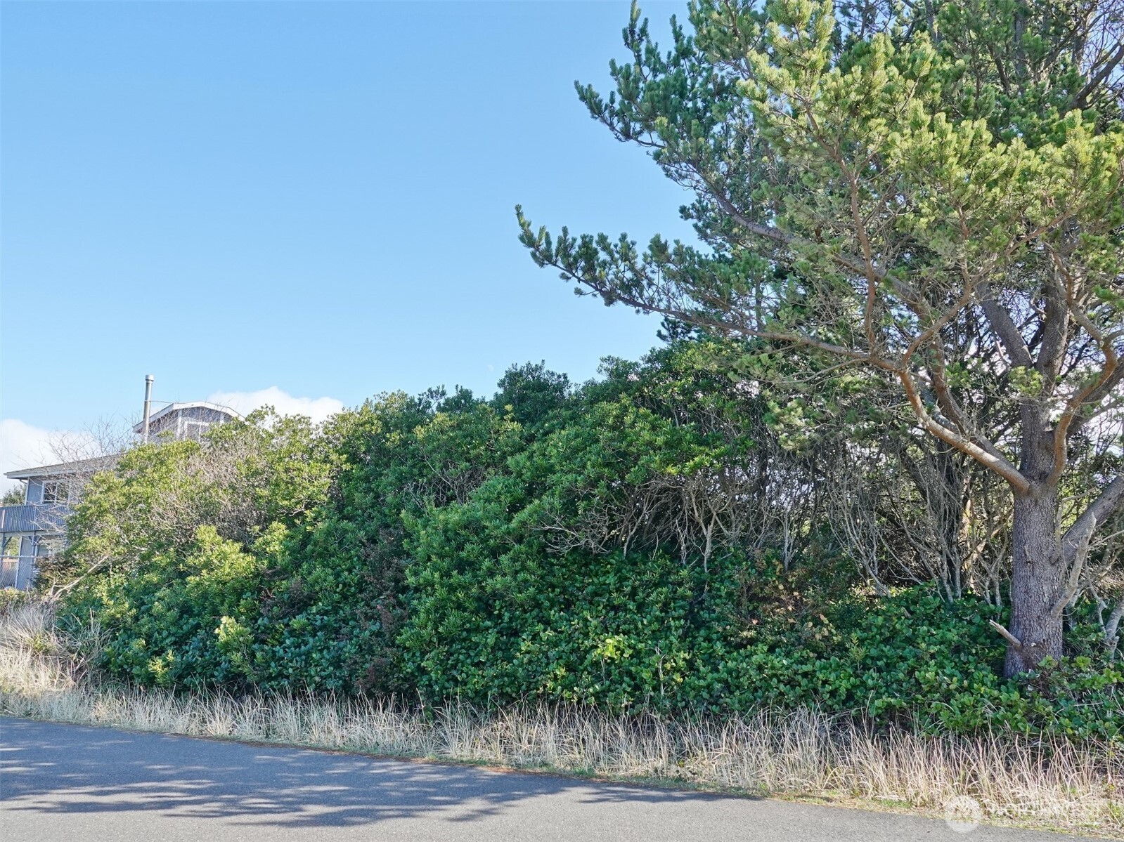 470 Sand Dune Avenue SW Ocean Shores WA 98569