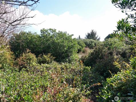 470 Sand Dune Avenue SW Ocean Shores WA 98569