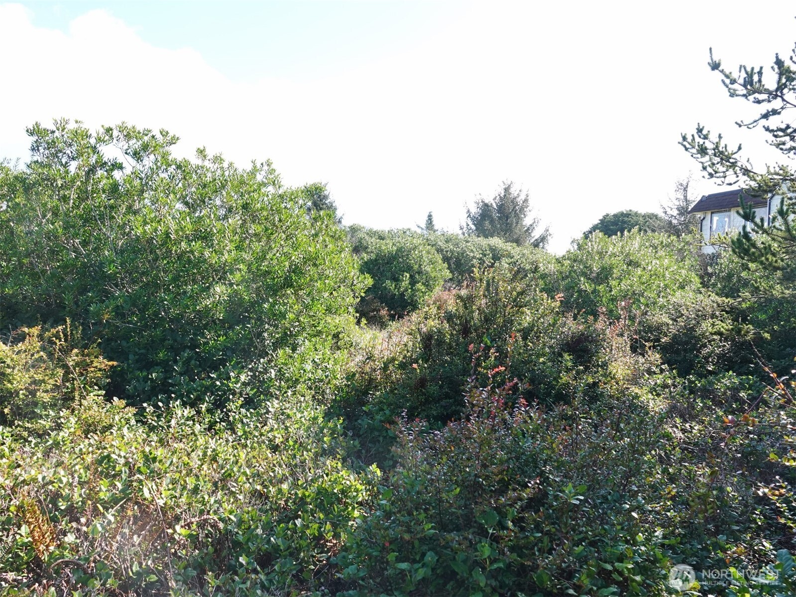 470 Sand Dune Avenue SW Ocean Shores WA 98569