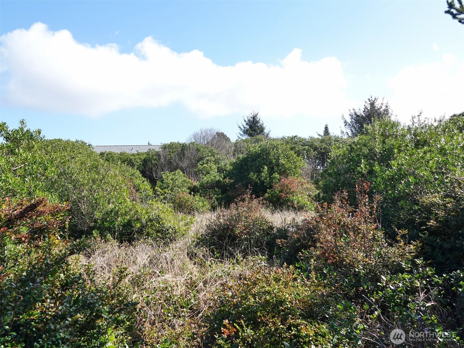 470 Sand Dune Avenue SW Ocean Shores WA 98569