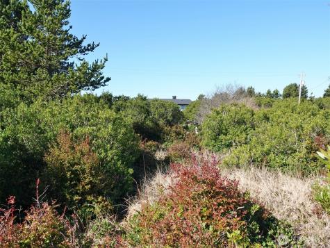 470 Sand Dune Avenue SW Ocean Shores WA 98569