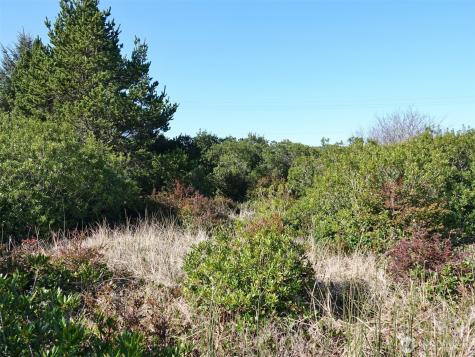 470 Sand Dune Avenue SW Ocean Shores WA 98569