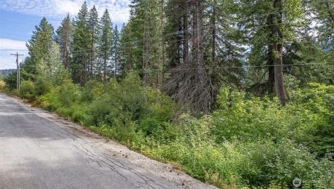 0 Nason Ridge Road Leavenworth WA 98826