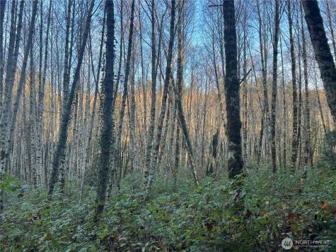 1 View Drive NE Poulsbo WA 98370