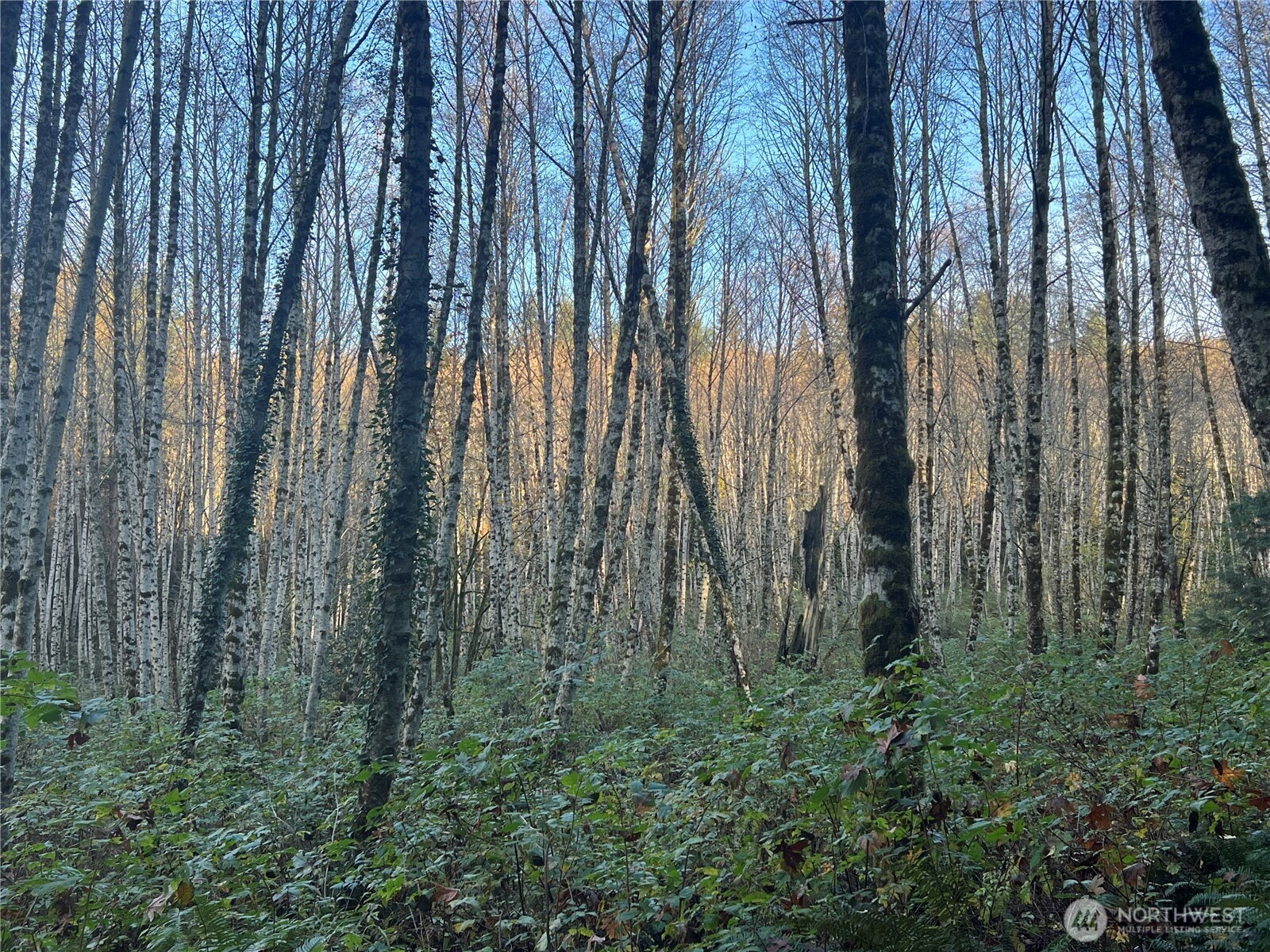 1 View Drive NE Poulsbo WA 98370