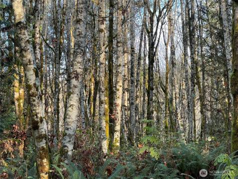 1 View Drive NE Poulsbo WA 98370