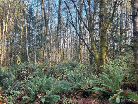 1 View Drive NE Poulsbo WA 98370