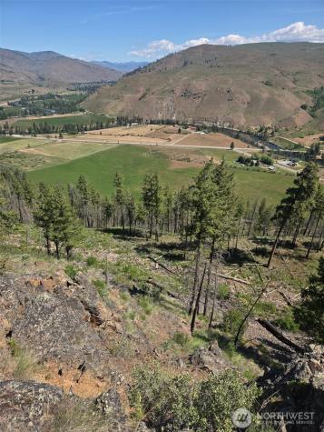 0 Golden Creek Loop Road Carlton WA 98814