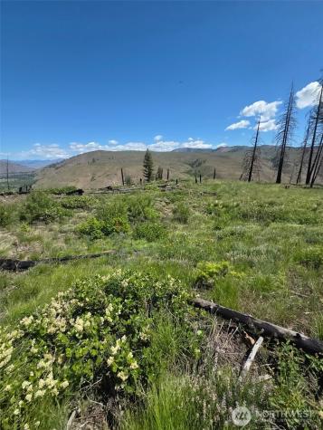 0 Golden Creek Loop Road Carlton WA 98814