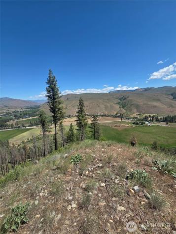 0 Golden Creek Loop Road Carlton WA 98814